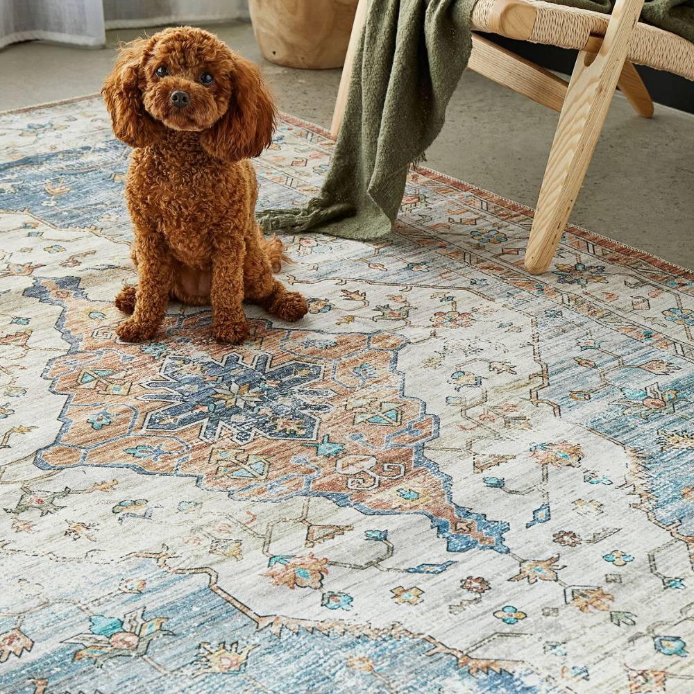 Kendra Rugs