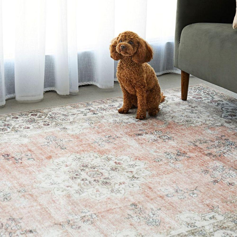 Vibrant Patterned Rugs