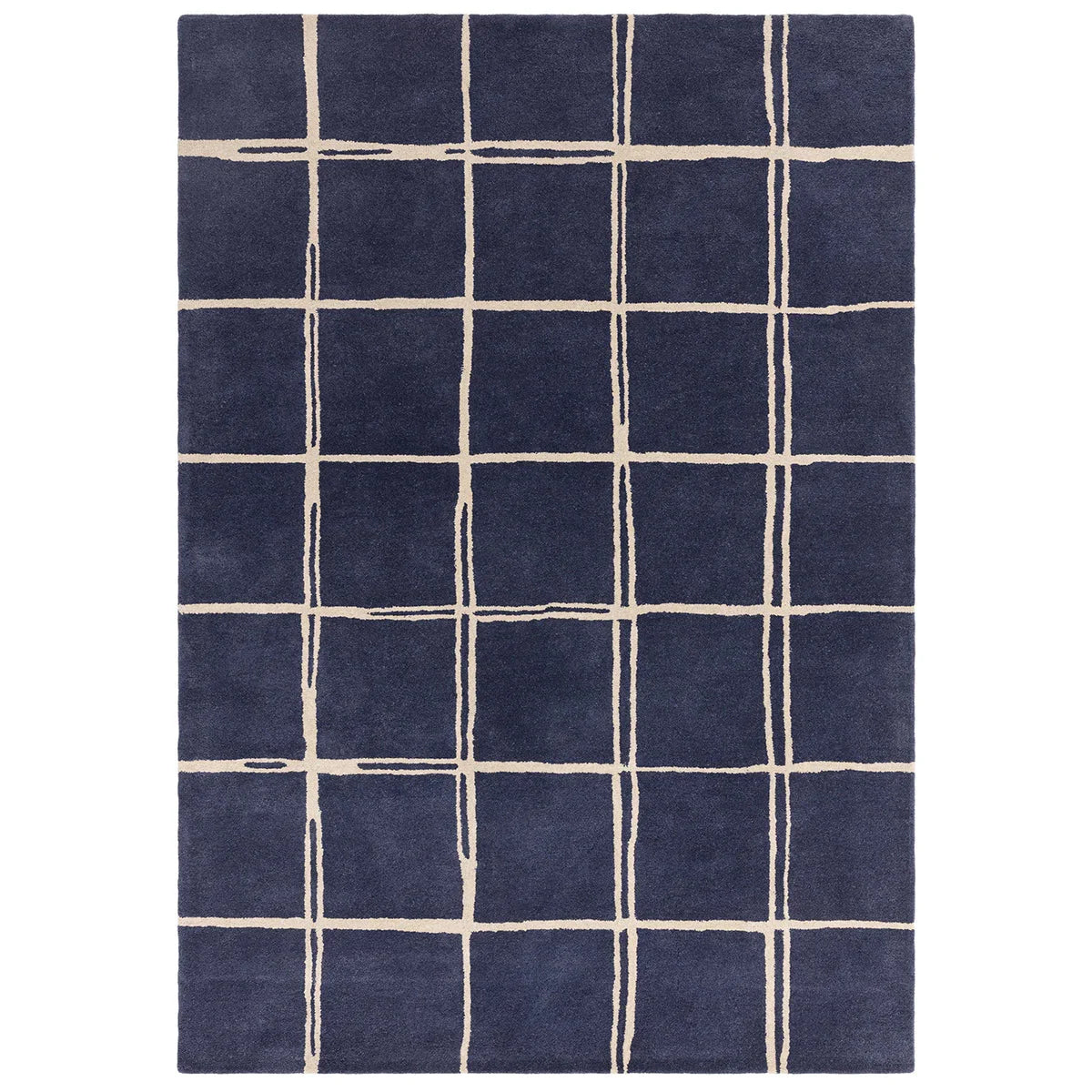 Asiatic Albany Grid Marine rectangle rug styled in a living room