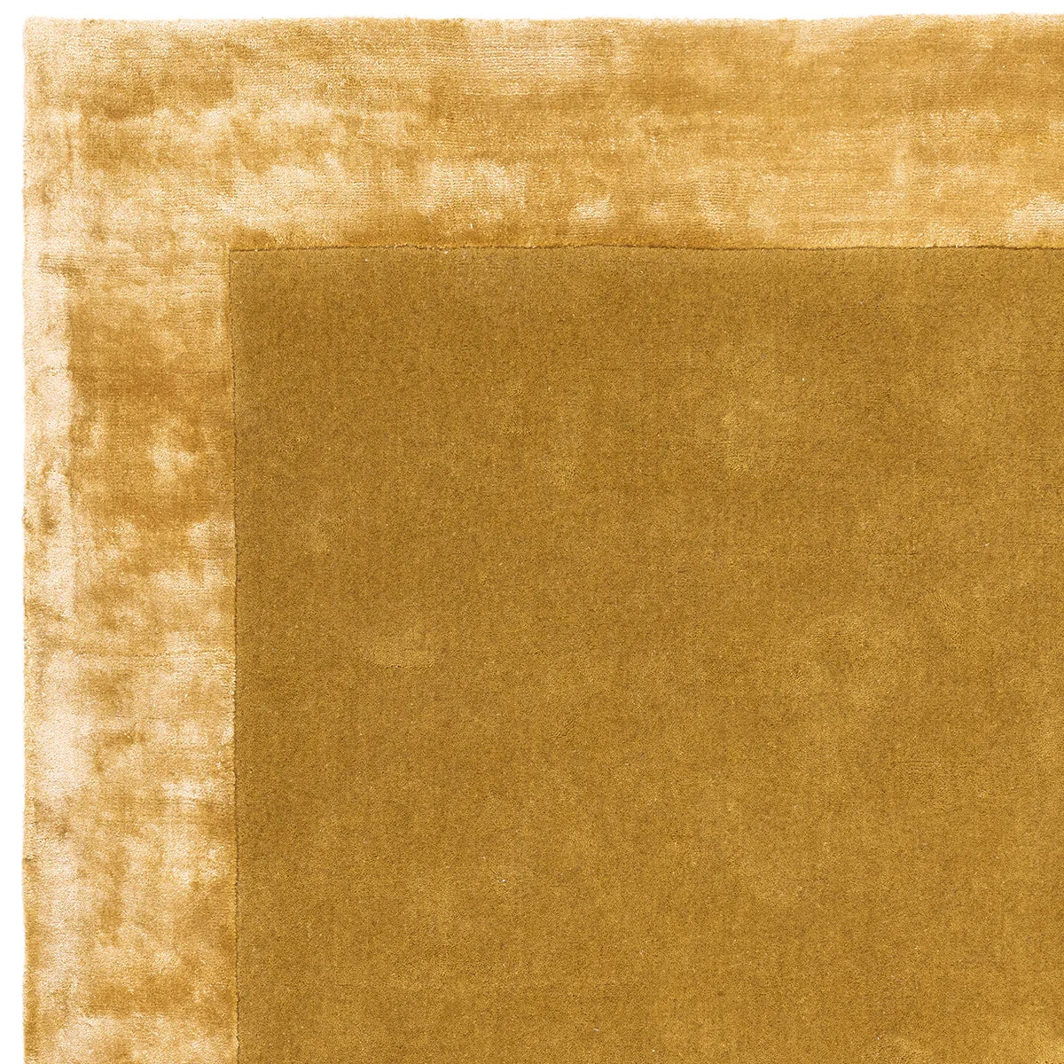 Asiatic Ascot Gold Designer Rug featuring solid colour field with gold mustard border on cream background, tufted wool