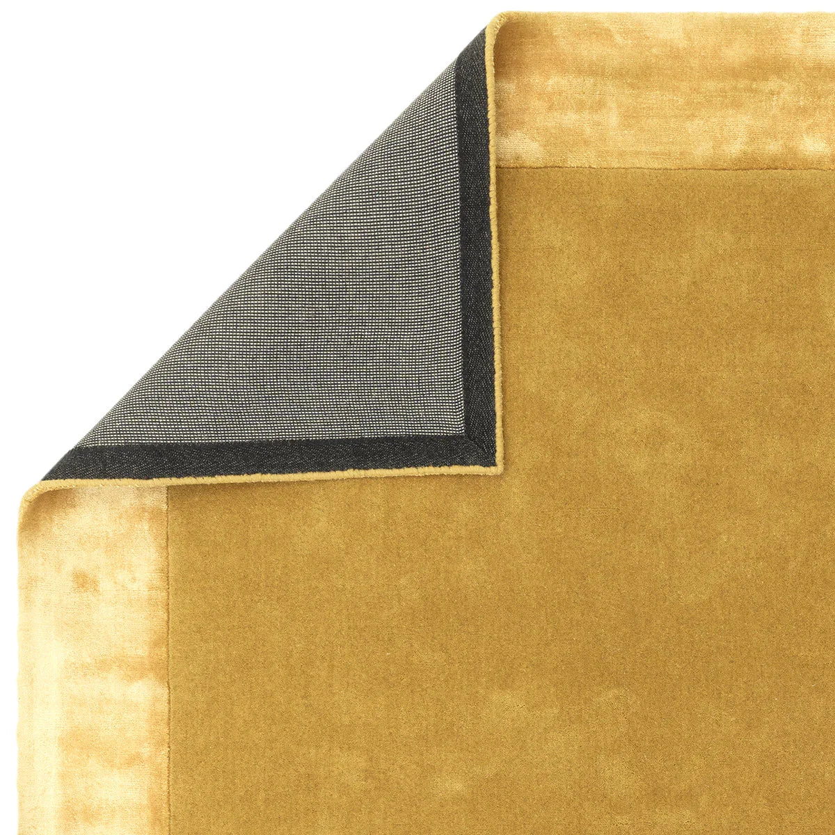 Asiatic Ascot Gold Designer Rug featuring solid mustard with charcoal border on white, hand-tufted wool