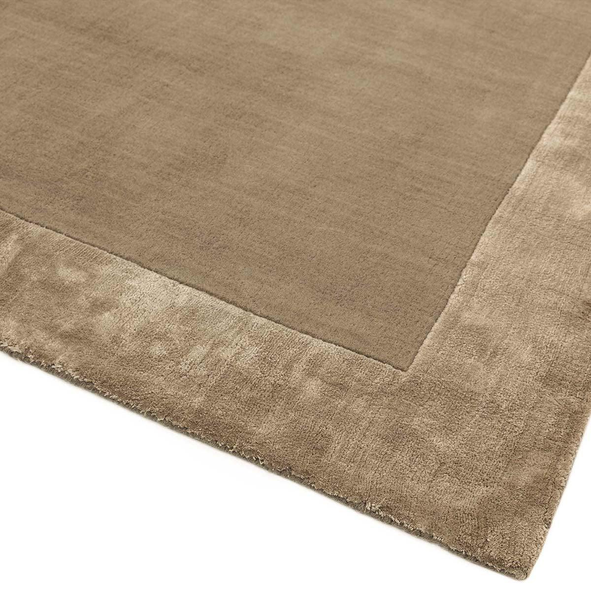 Asiatic Ascot Taupe Designer Rug featuring solid taupe field with light beige border on white background, plush pile