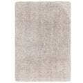 Asiatic Barnaby Silver rectangle rug styled in a living room