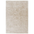 Asiatic Blade Putty rectangle rug styled in a living room