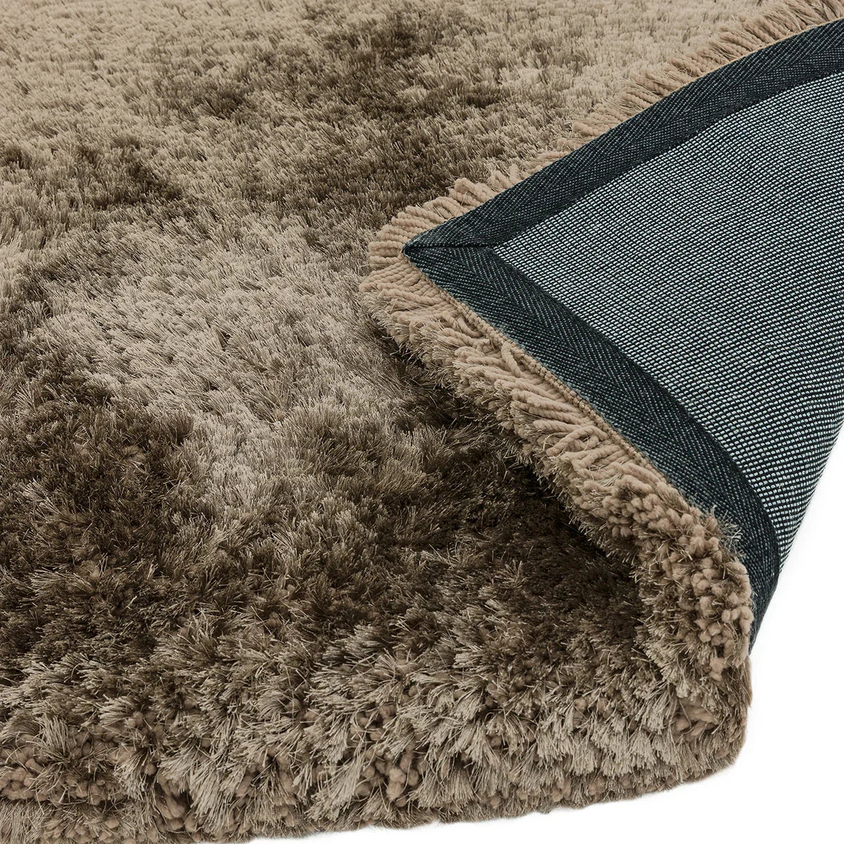 Asiatic Plush Taupe Designer Rug featuring shaggy pile in taupe/beige with dark navy border on light beige background, machine-made polyester