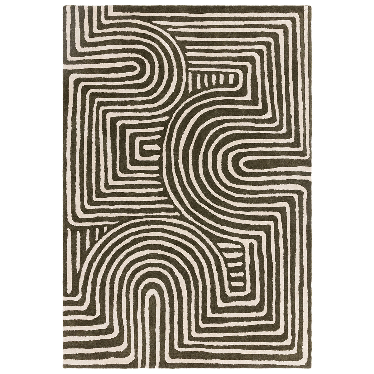 Asiatic Reef 30 Curve Forest rectangle rug styled in a living room