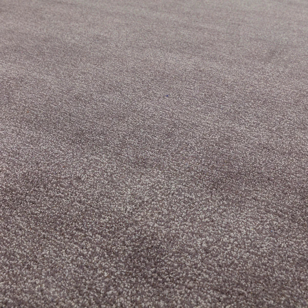 Asiatic Rise Charcoal Rug featuring fine textured pile in charcoal and taupe on warm beige background, hand-tufted wool