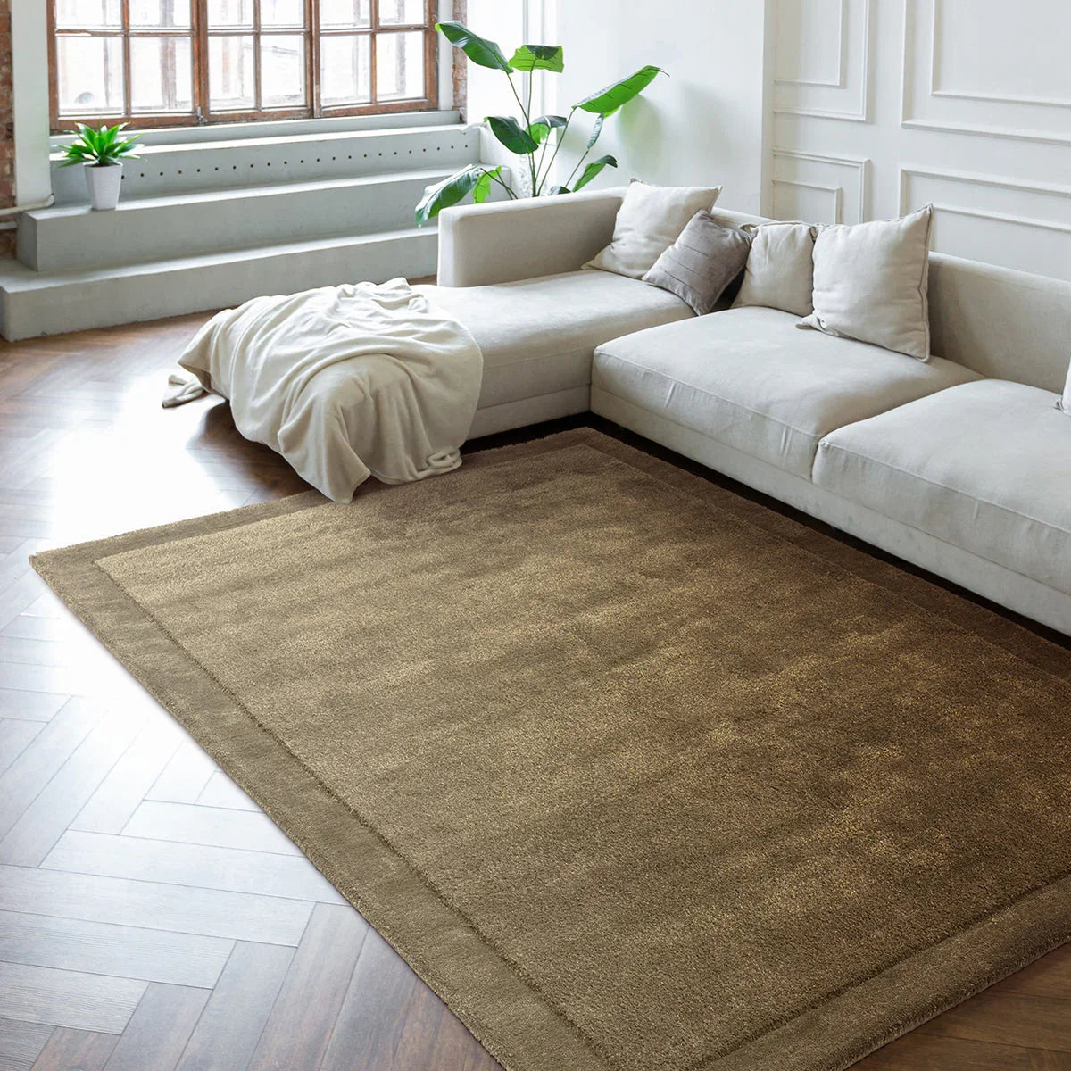 Beige rug in a living room with a white sofa and plants.