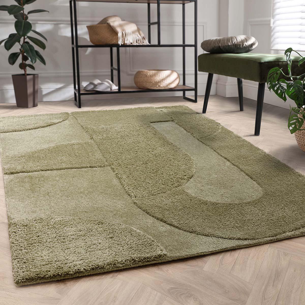 Green area rug on a wooden floor with a shelf and plants in the background
