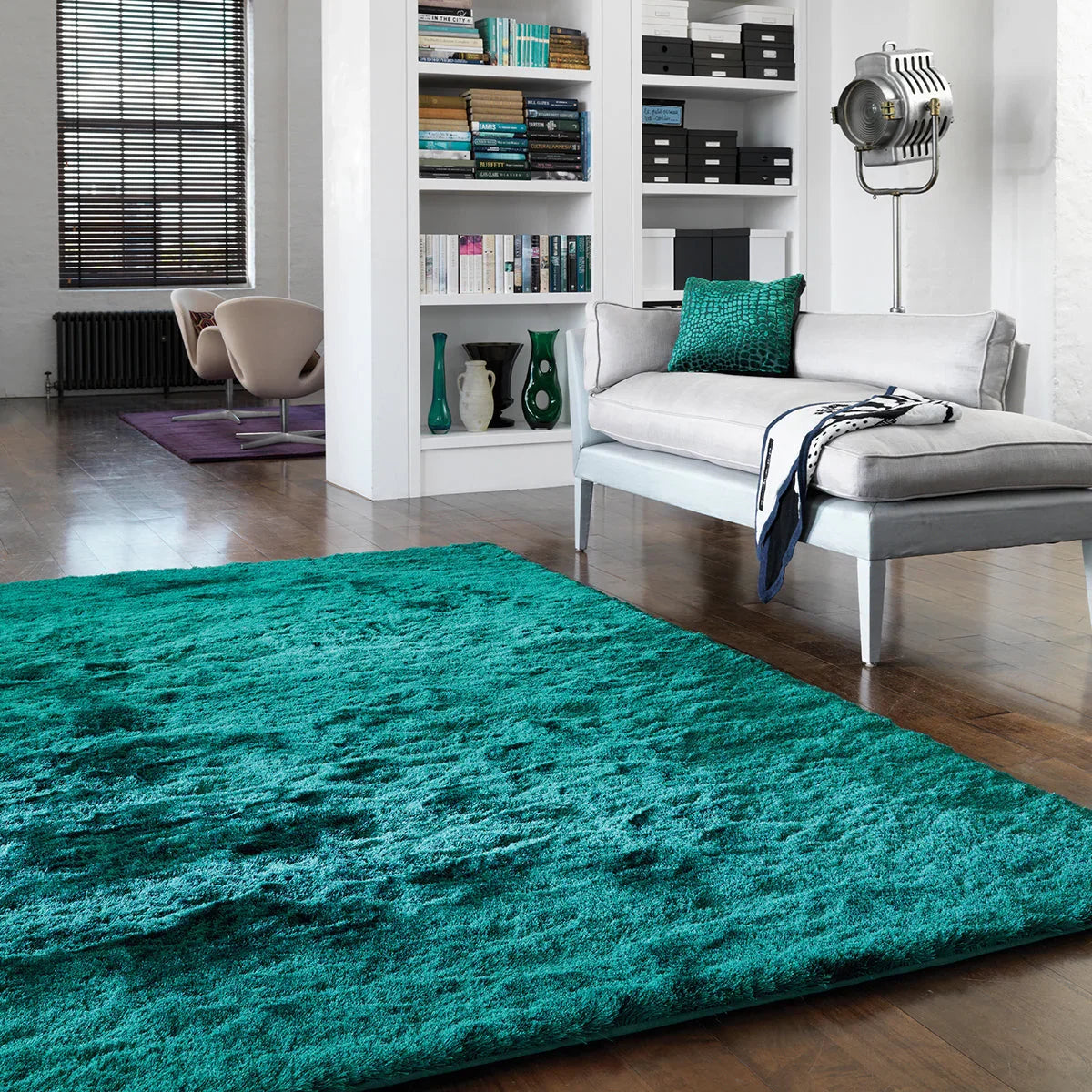 Living room with a teal rug, white sofa, and bookshelf.