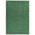 Green rectangular rug on a white background