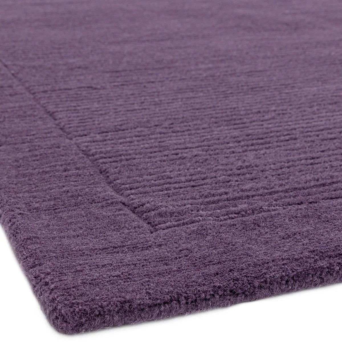 Asiatic York Purple Designer Rug featuring solid textured pile in deep plum purple on purple background, hand-tufted wool