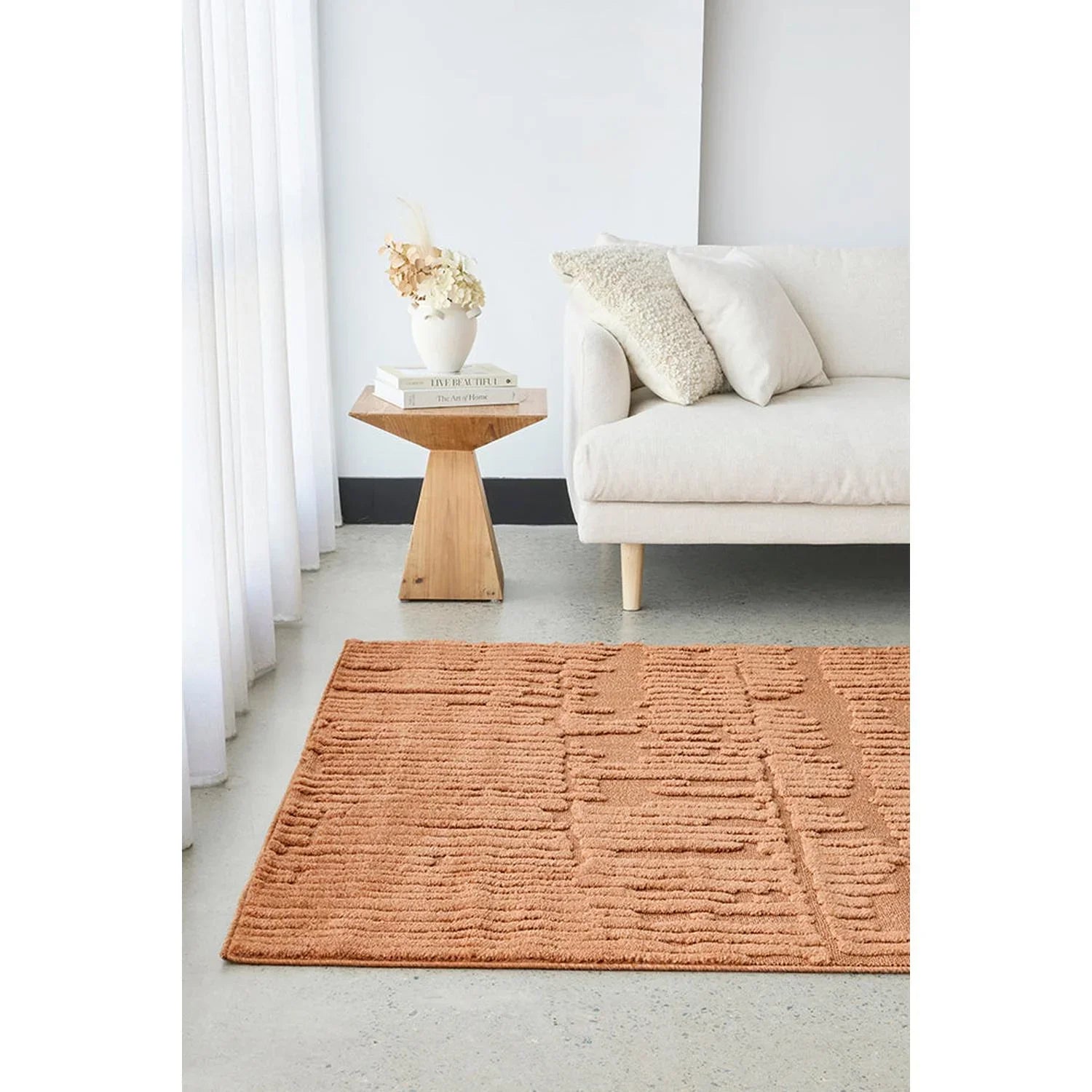 Living room with a textured orange rug, white sofa, and wooden side table.
