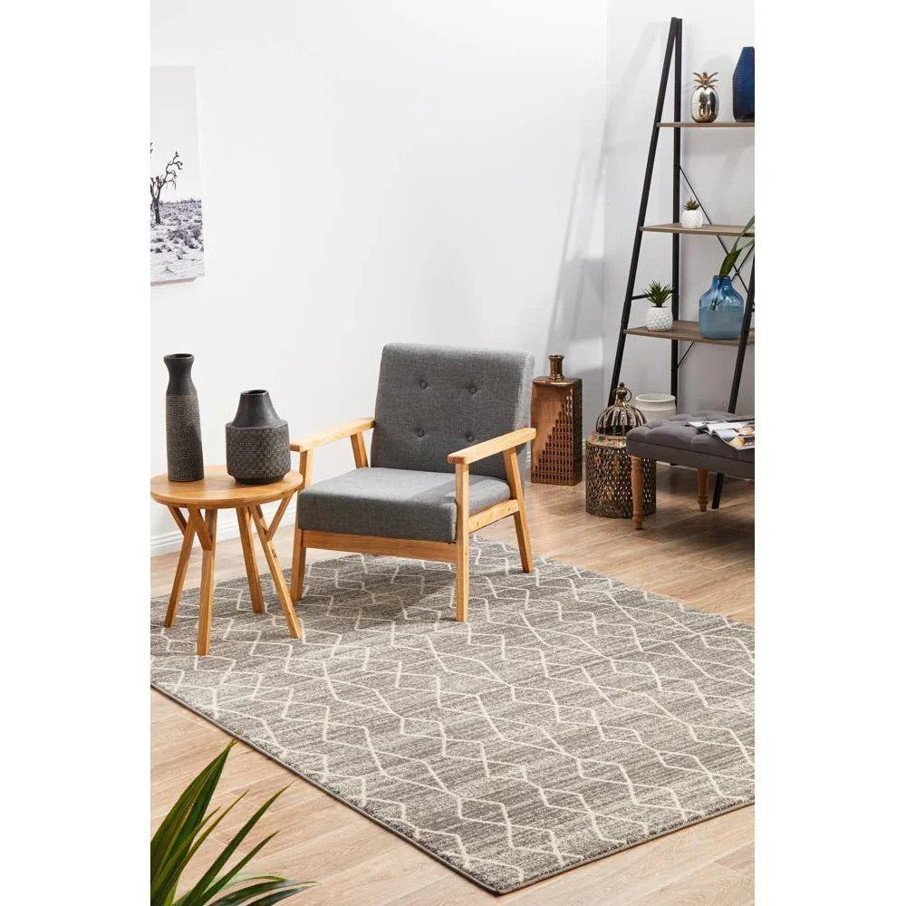 Evoke Remy Silver Transitional Rug - ICONIC RUGS
