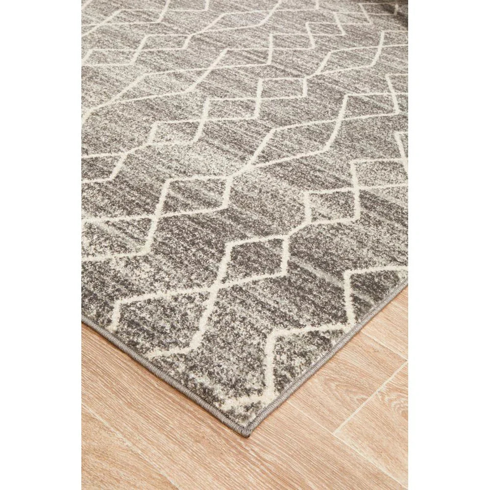 Evoke Remy Silver Transitional Rug - ICONIC RUGS