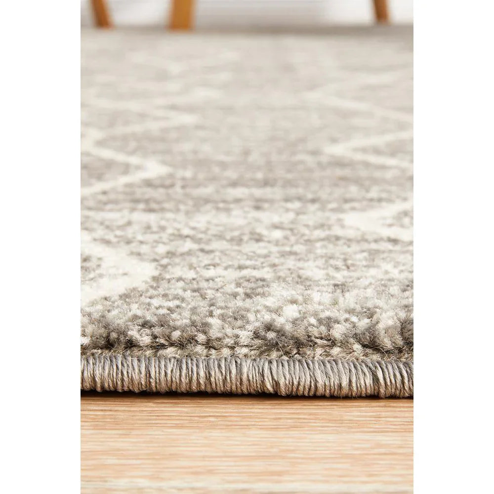 Evoke Remy Silver Transitional Rug - ICONIC RUGS