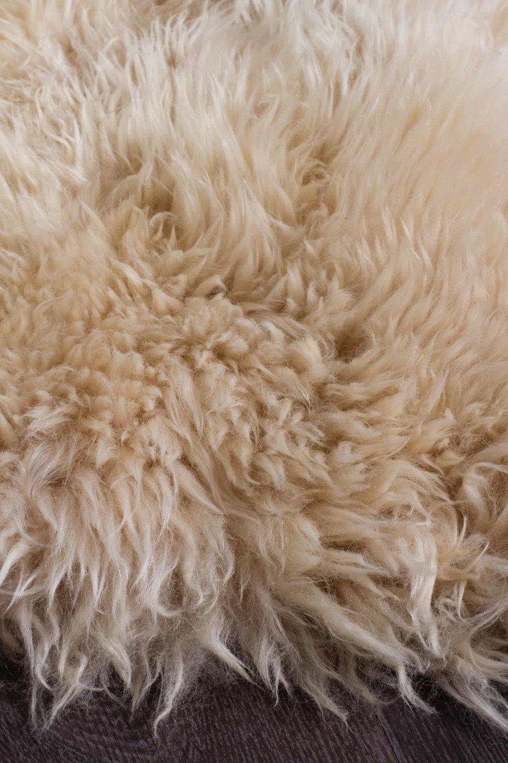 Natural New Zealand Sheep Skin - Champagne - ICONIC RUGS