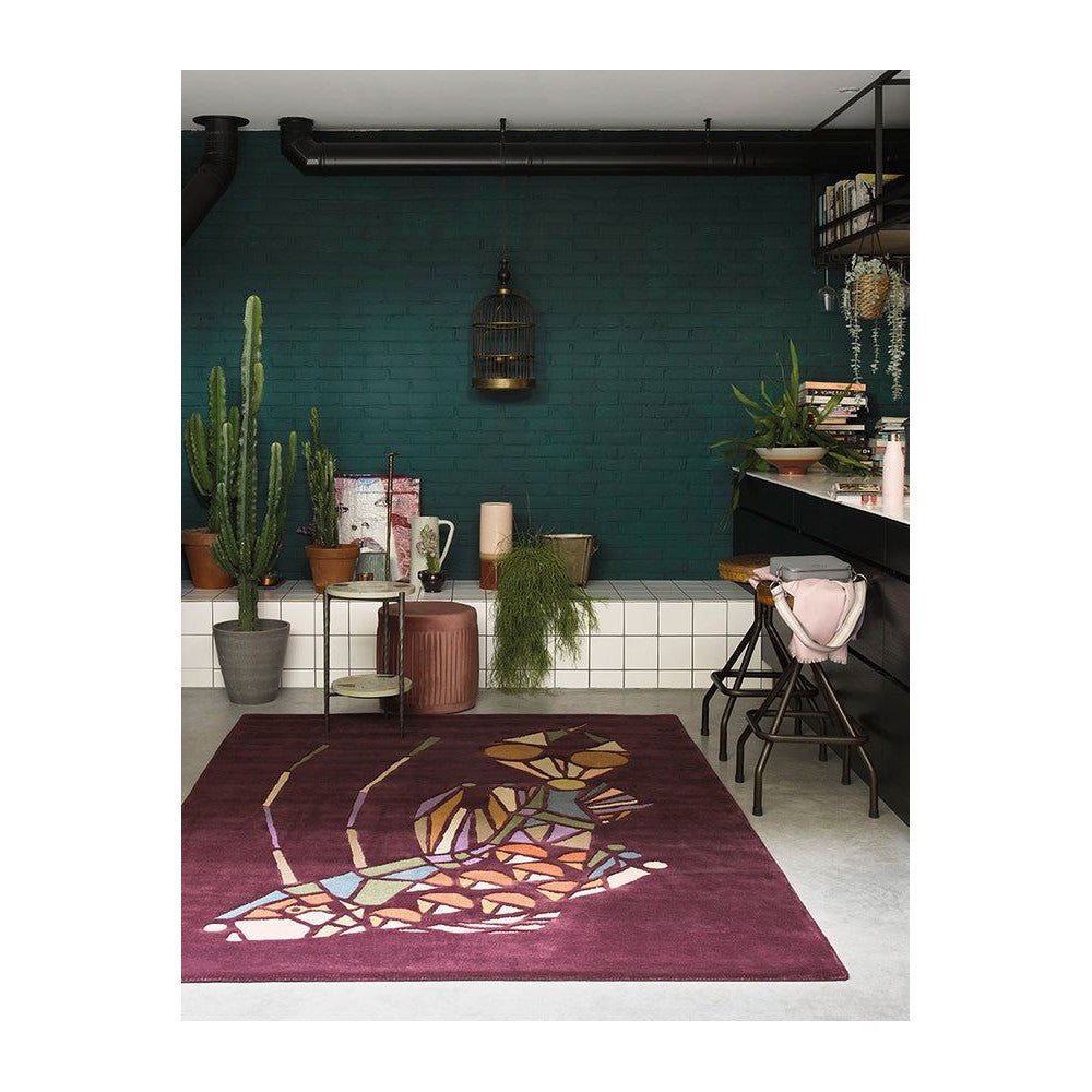 Ted Baker Emerging Fish Pure Wool Designer Rug