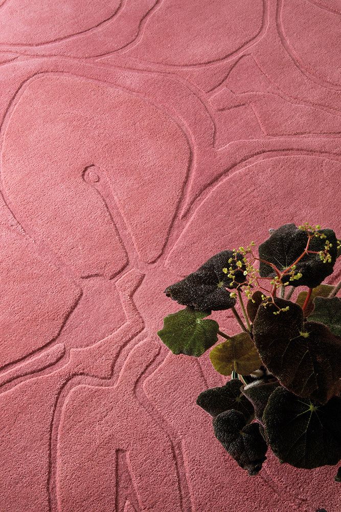 Ted Baker Romantic Magnolia Pink Pure Wool Designer Rug
